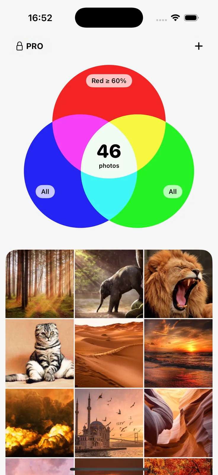 The Filters home screen showing a photo library grouped into colour bands, with a hue selector across the top.