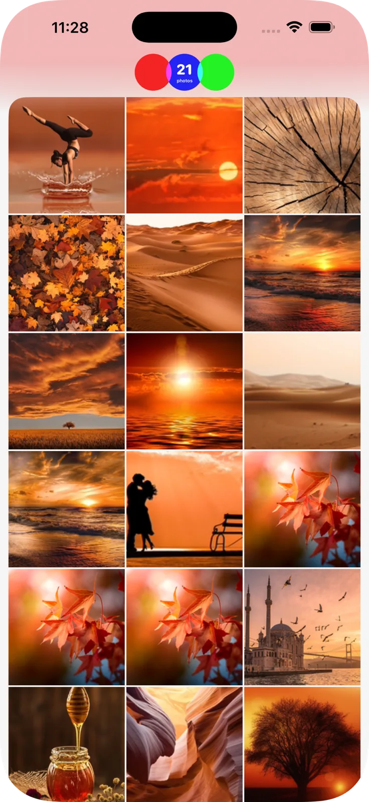 The Filters query result grid: three overlapping circles meeting at a live match count of 21, above the matching photos.